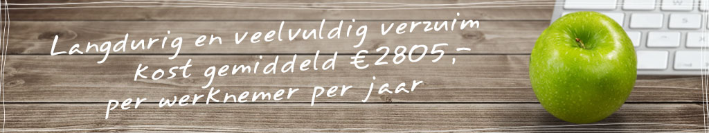 Duurzame inzetbaarheid