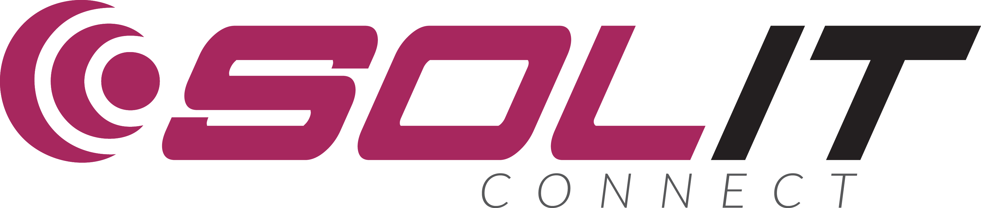 logo SOLIT_2020